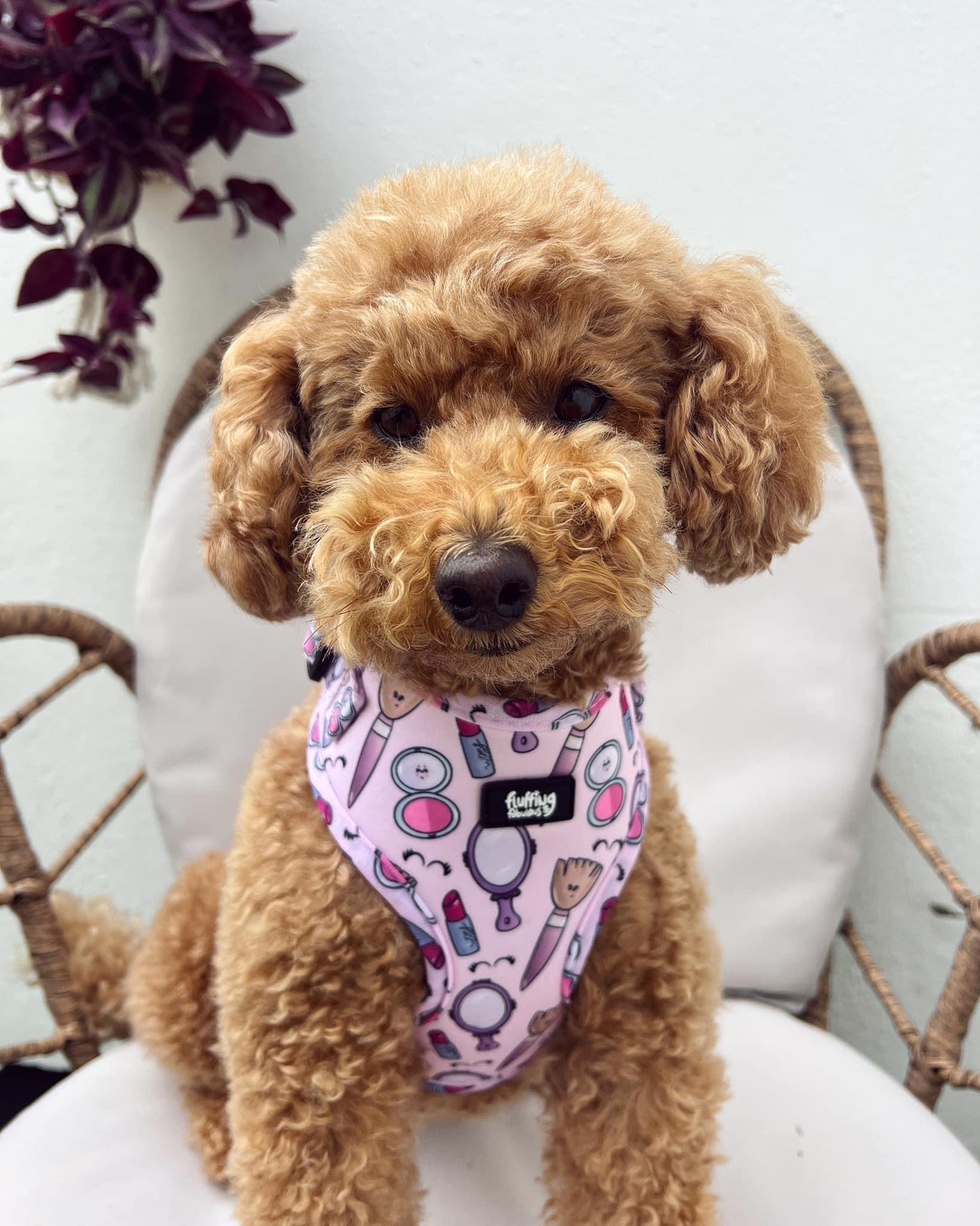 Adjustable Dog Harness - Pink To Make The Boys Wink