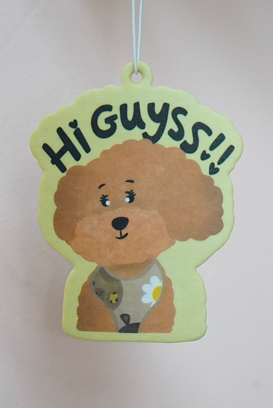 Car Freshener - Hi Guysss!