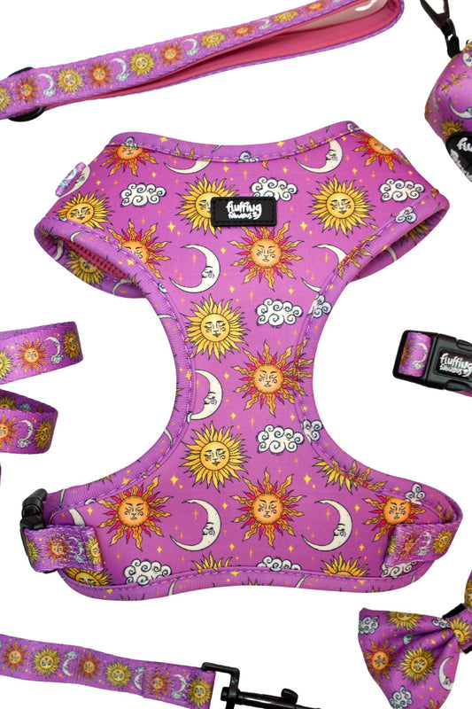 Adjustable Dog Harness - Sunsational