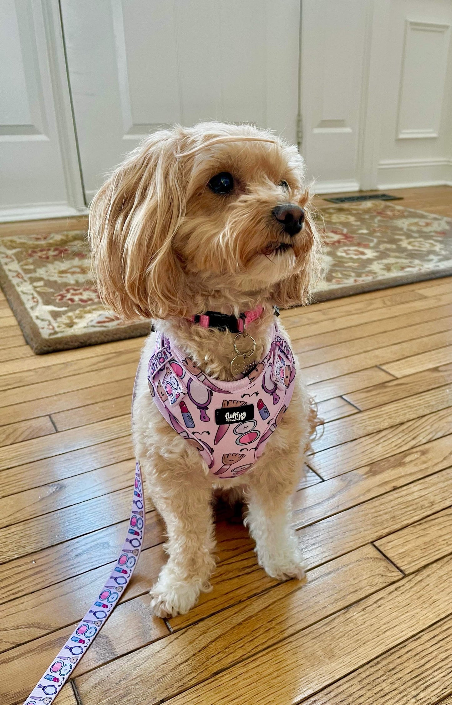 Adjustable Dog Harness - Pink To Make The Boys Wink