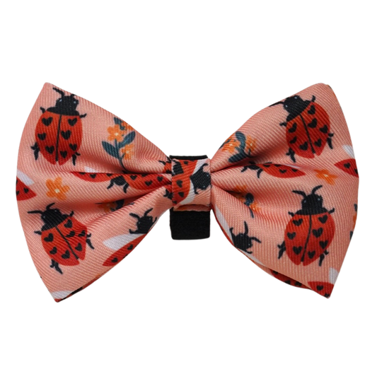 Bow Tie - Snug Like A Ladybug