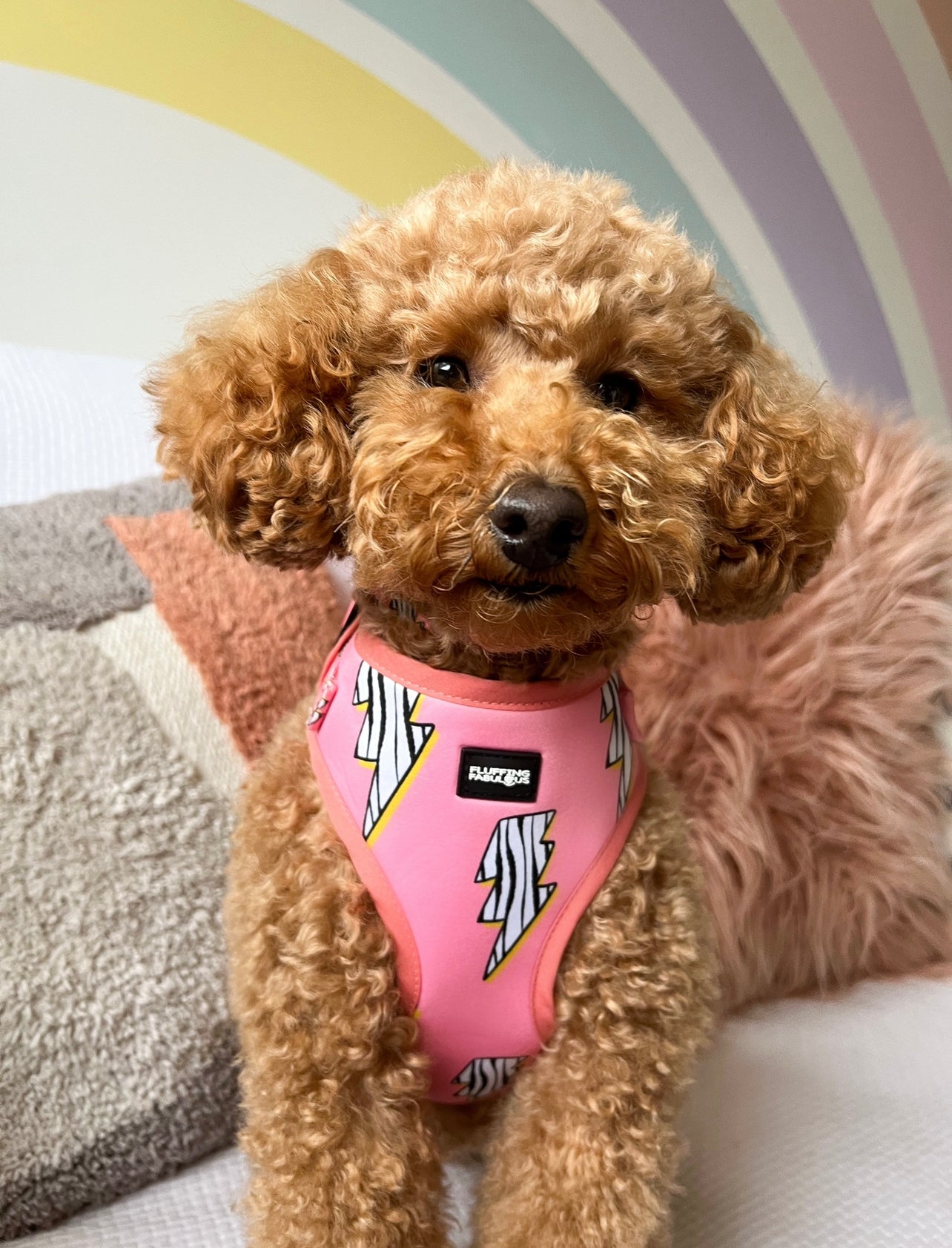 pink adjustable dog harness